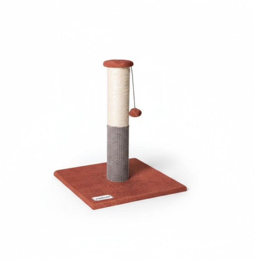 Ansamblu de joacă și zgâriat pentru pisici