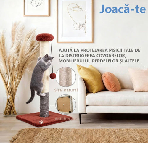 Ansamblu de joacă și zgâriat pentru pisici